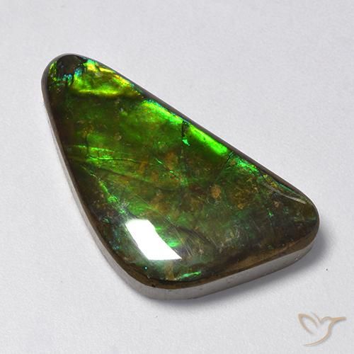 amolita Multicolorido Natural 13.28ct, Chique, Opaco