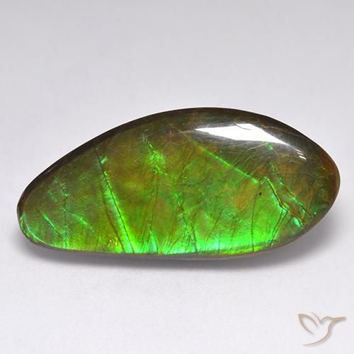 15.77ct Natural Multicolorido amolita, Chique, Opaco