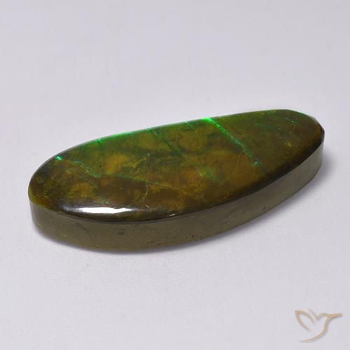 amolita Multicolorido Natural 15.77ct, Chique, Opaco