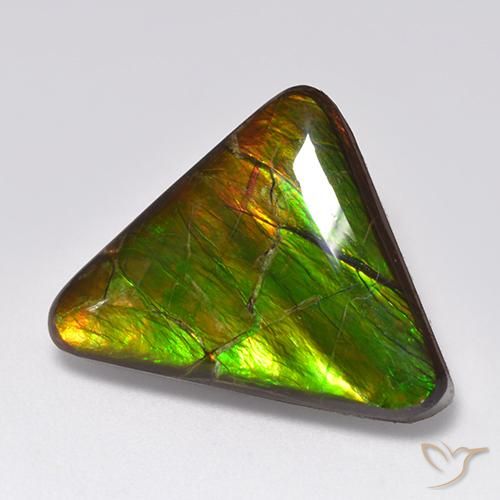 amolita Multicolorido Natural 14.54ct, Trilhão, Opaco