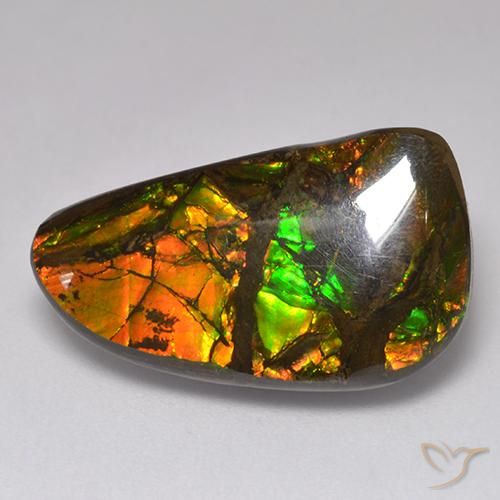 13.48ct Natural Multicolorido amolita, Chique, Opaco