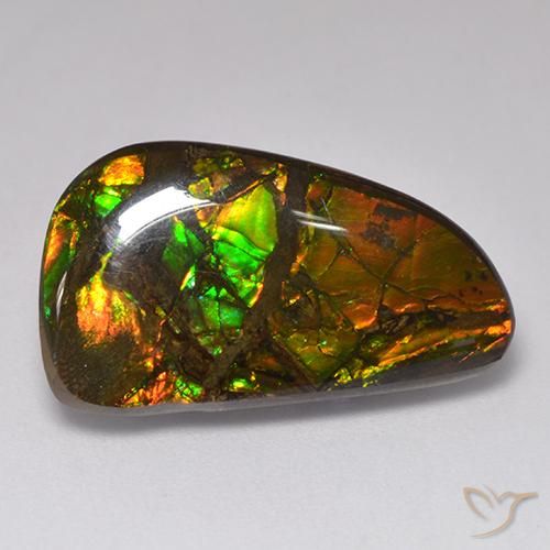 amolita Multicolorido Natural 13.48ct, Chique, Opaco