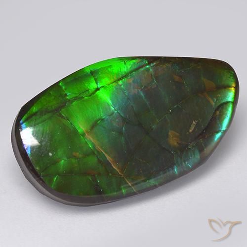 13.66ct Natural Multicolorido amolita, Chique, Opaco
