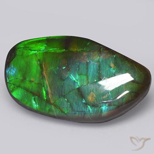 amolita Multicolorido Natural 13.66ct, Chique, Opaco