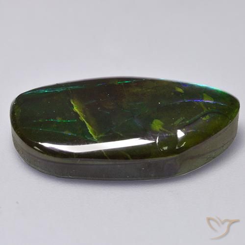 amolita Multicolorido Natural 13.66ct, Chique, Opaco