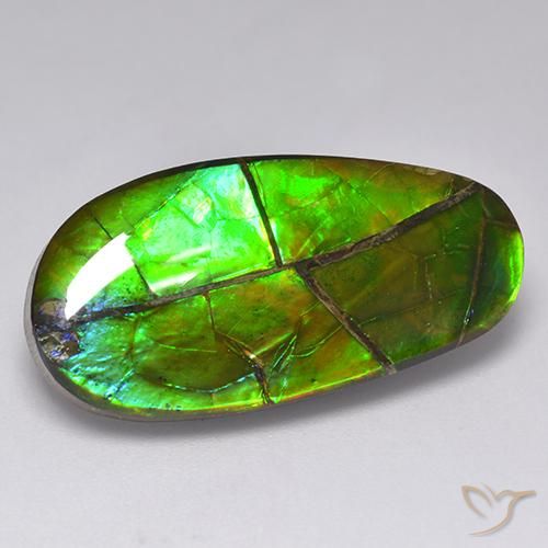 Ammolita multicolorido natural 17,05ct, forma extravagante, opaco