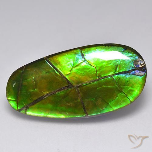 Ammolita multicolorido natural 17,05ct, forma extravagante, opaco