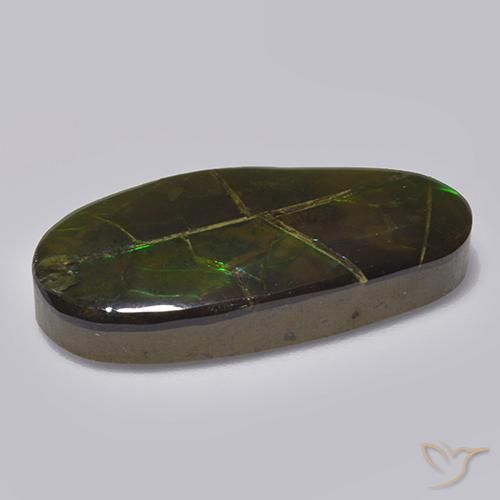 Ammolita multicolorido natural 17,05ct, forma extravagante, opaco
