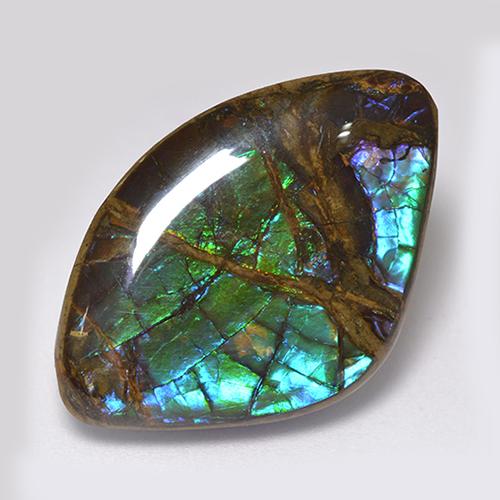 Ammolita multicolorido natural 18,11ct, forma extravagante, opaco