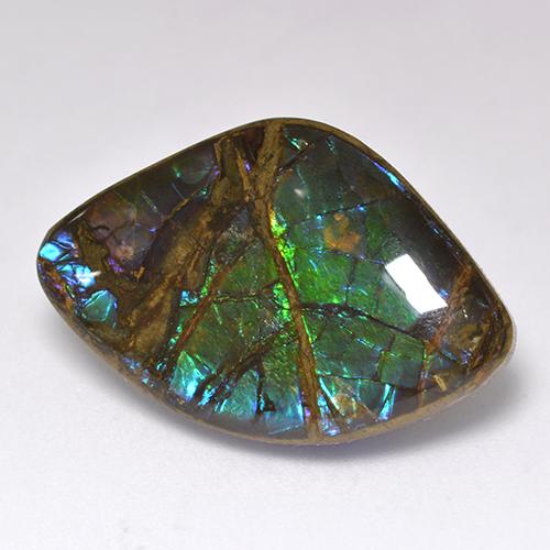 Ammolita multicolorido natural 18,11ct, forma extravagante, opaco
