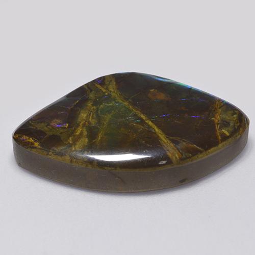 Ammolita multicolorido natural 18,11ct, forma extravagante, opaco