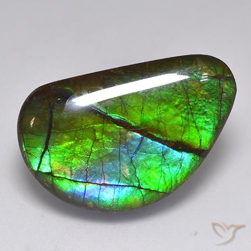 amolita Multicolorido Natural 15.82ct, Chique, Opaco