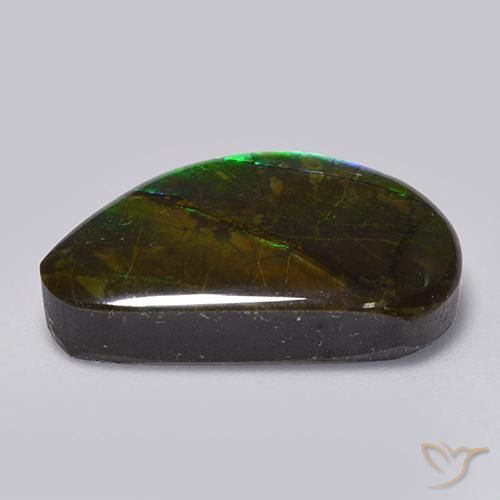 amolita Multicolorido Natural 15.82ct, Chique, Opaco