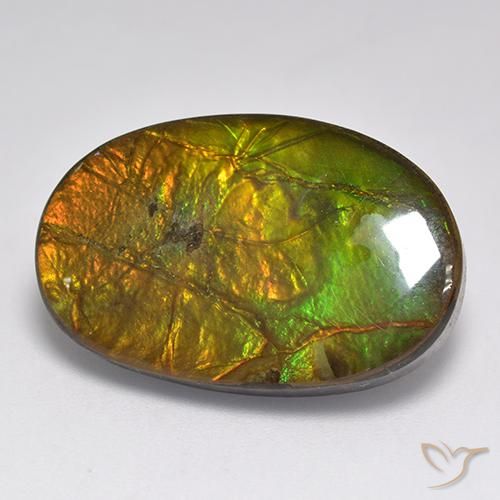 18.91ct Natural Multicolorido amolita, oval, Opaco