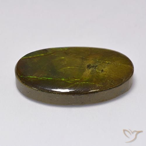 amolita Multicolorido Natural 18.91ct, oval, Opaco