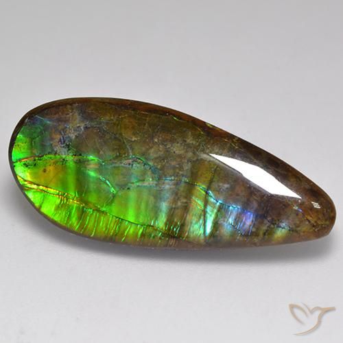 20.06ct Natural Multicolorido amolita, Chique, Opaco