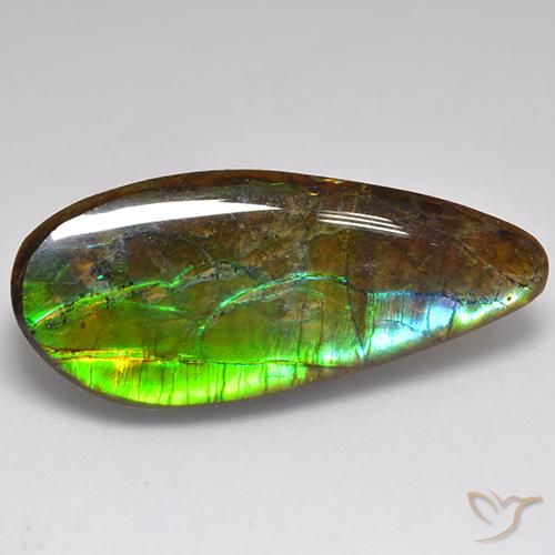 amolita Multicolorido Natural 20.06ct, Chique, Opaco