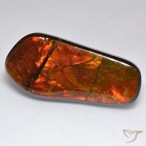 15.53ct Natural Multicolorido amolita, Chique, Opaco