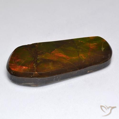amolita Multicolorido Natural 15.53ct, Chique, Opaco