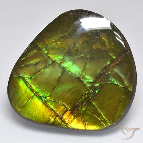 18.81ct Natural Multicolorido amolita, Chique, Opaco