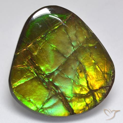 amolita Multicolorido Natural 18.81ct, Chique, Opaco