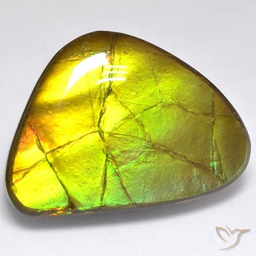 19.06ct Natural Multicolorido amolita, Chique, Opaco