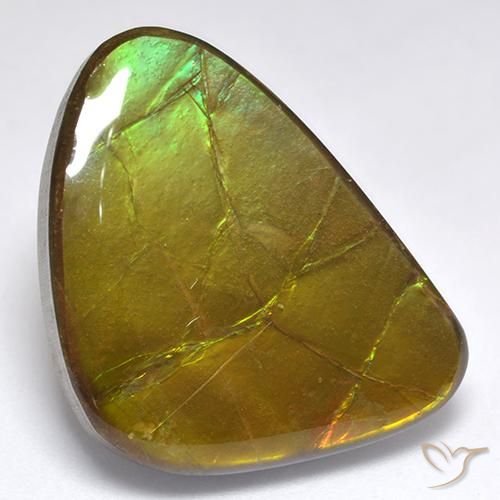 amolita Multicolorido Natural 19.06ct, Chique, Opaco