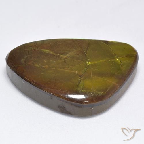 amolita Multicolorido Natural 19.06ct, Chique, Opaco