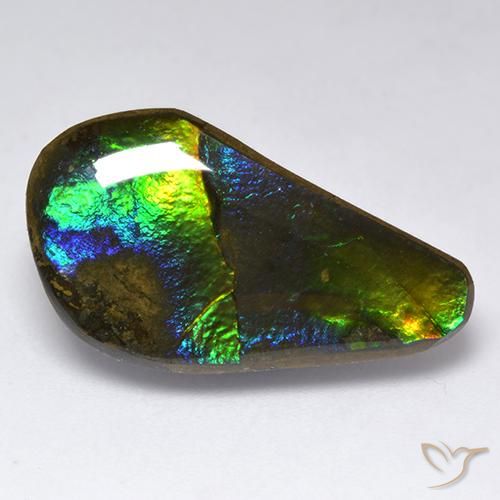 11.35ct Natural Multicolorido amolita, Chique, Opaco