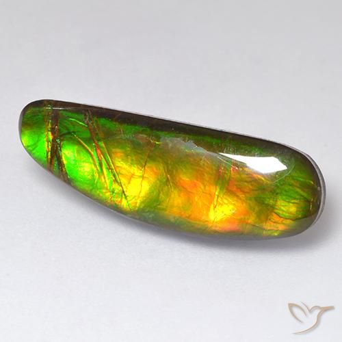 amolita Multicolorido Natural 11.01ct, Chique, Opaco