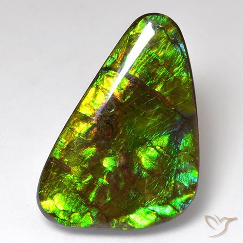 amolita Multicolorido Natural 18.51ct, Chique, Opaco