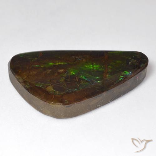 amolita Multicolorido Natural 18.51ct, Chique, Opaco