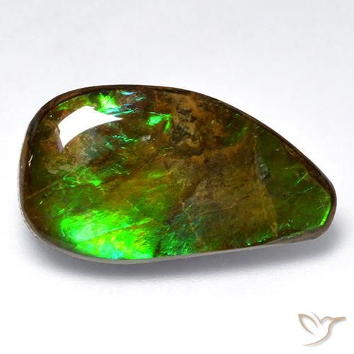 12.04ct Natural Multicolorido amolita, Chique, Opaco