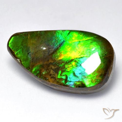 amolita Multicolorido Natural 12.04ct, Chique, Opaco
