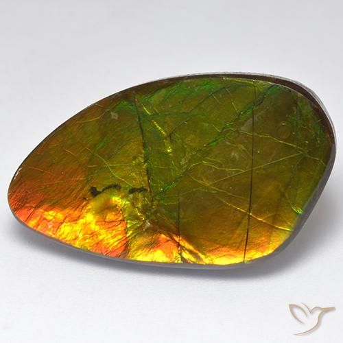 22.28ct Natural Multicolorido amolita, Chique, Opaco