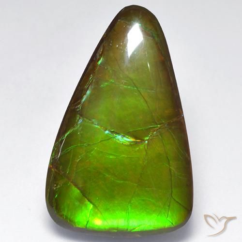 amolita Multicolorido Natural 16.16ct, Chique, Opaco