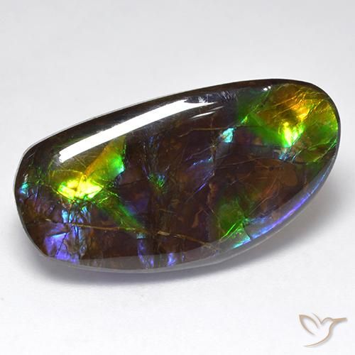 16.71ct Natural Multicolorido amolita, Chique, Opaco