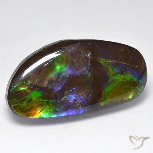 amolita Multicolorido Natural 16.71ct, Chique, Opaco