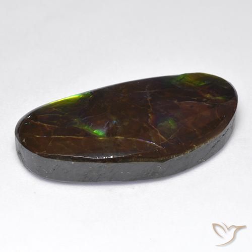 amolita Multicolorido Natural 16.71ct, Chique, Opaco