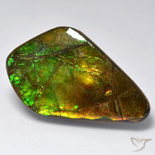 19.12ct Natural Multicolorido amolita, Chique, Opaco