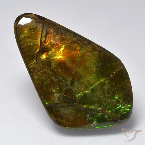 amolita Multicolorido Natural 19.12ct, Chique, Opaco