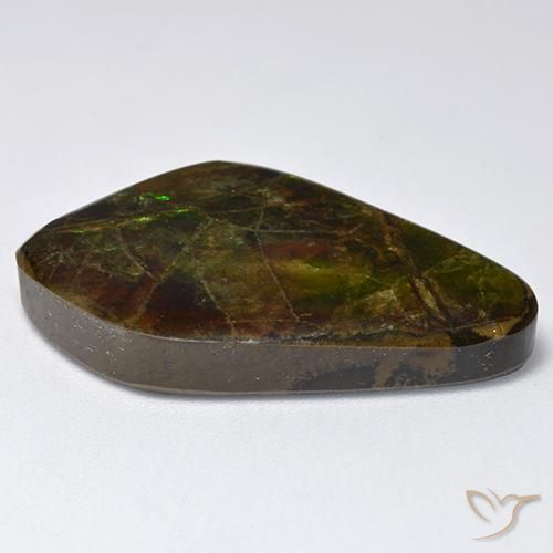 amolita Multicolorido Natural 19.12ct, Chique, Opaco