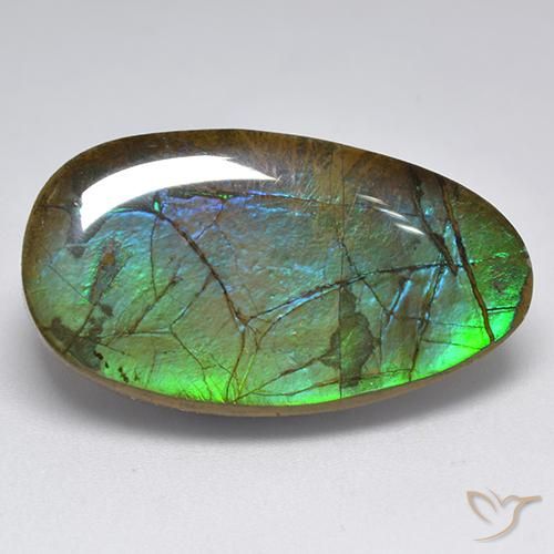 18.04ct Natural Multicolorido amolita, Chique, Opaco