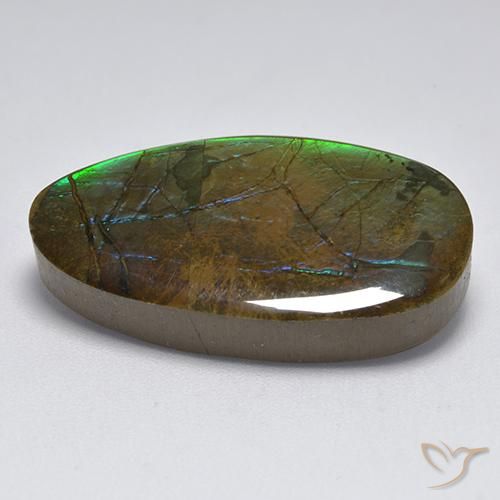 amolita Multicolorido Natural 18.04ct, Chique, Opaco