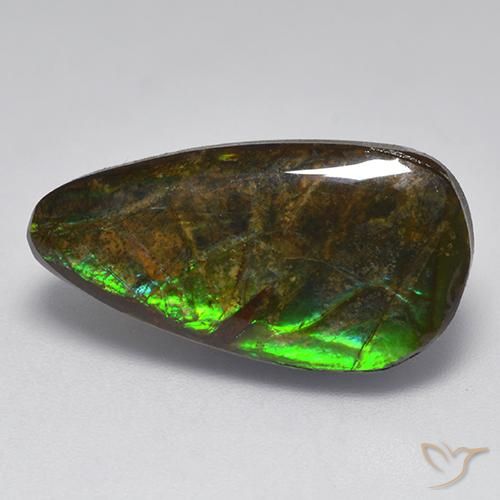 amolita Multicolorido Natural 10.04ct, Chique, Opaco