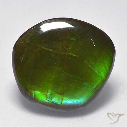 10.26ct Natural Multicolorido amolita, Chique, Opaco