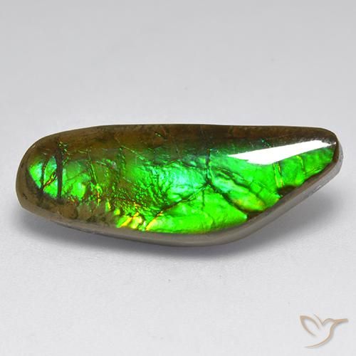 9.60ct Natural Multicolorido amolita, Chique, Opaco