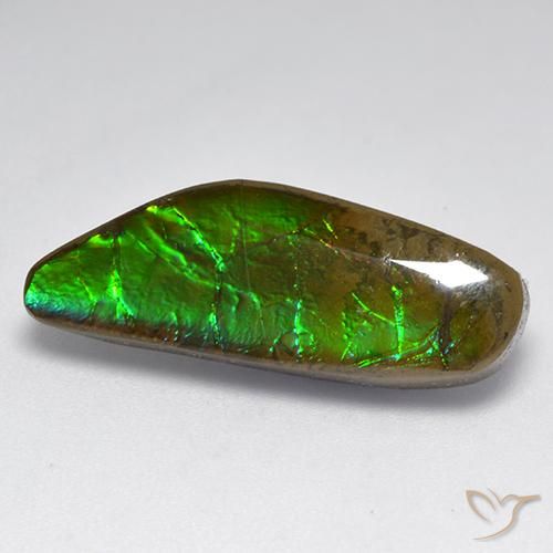 amolita Multicolorido Natural 9.60ct, Chique, Opaco