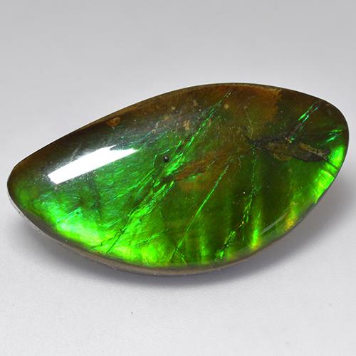 Ammolita multicolorido natural 20,84ct, forma extravagante, opaco