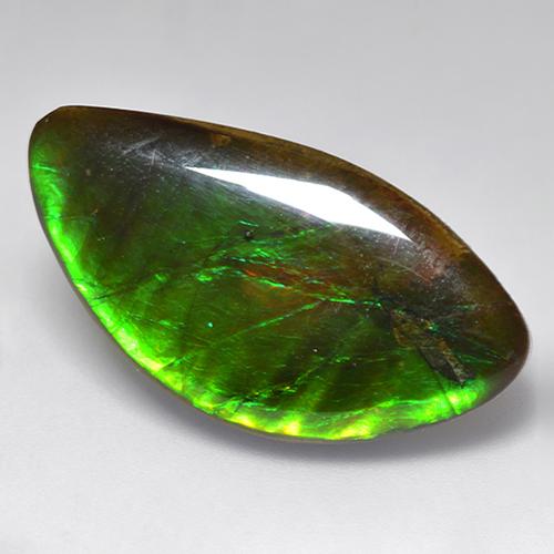 Ammolita multicolorido natural 20,84ct, forma extravagante, opaco